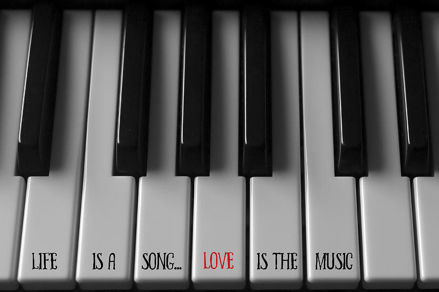 Life is a Song Quote Photograph by Terry DeLuco