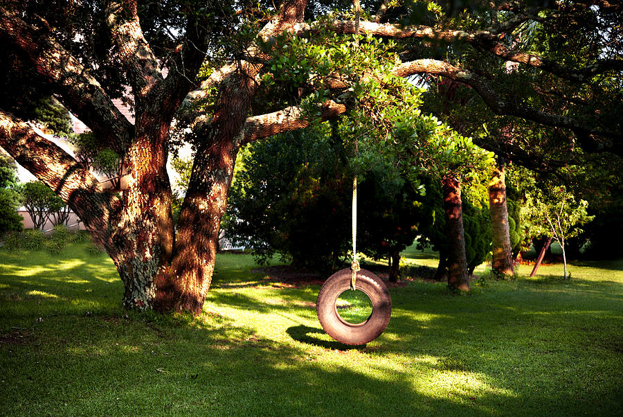 Life Is A Tire Swing Photograph