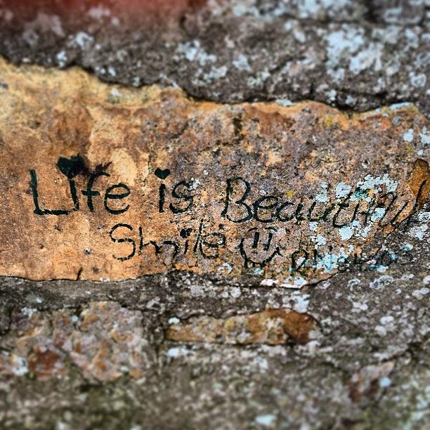 Life Is Beautiful... Smile !!! Found On Photograph by Azhar K