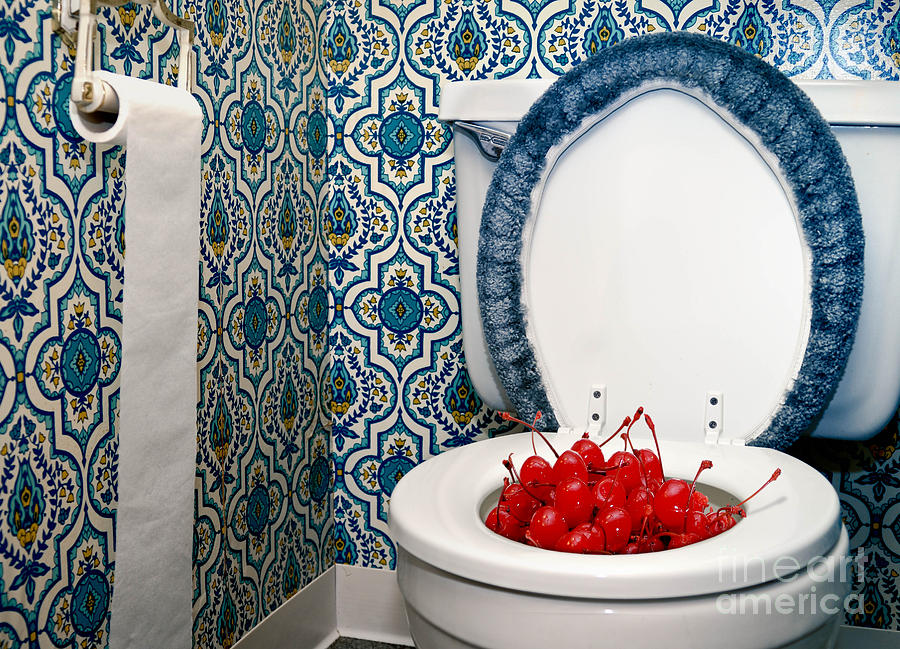 Life is Just a Toilet Bowl of Cherries  Photograph by Amy Cicconi