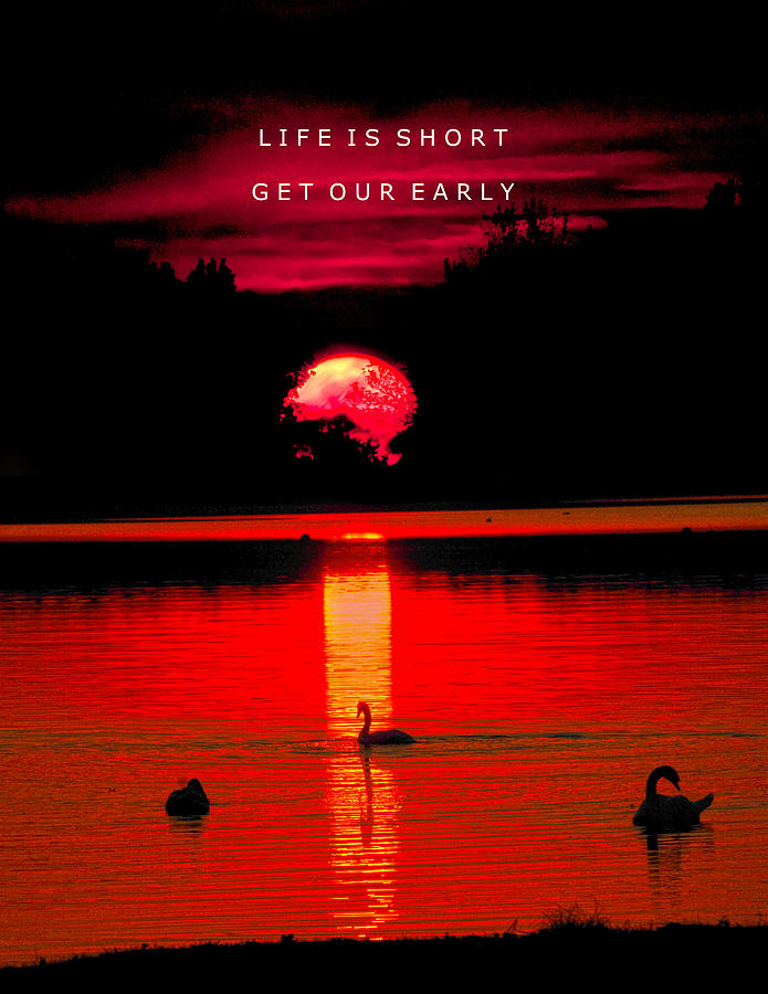 Life Is Short Get Out Early Photograph by Randall Branham