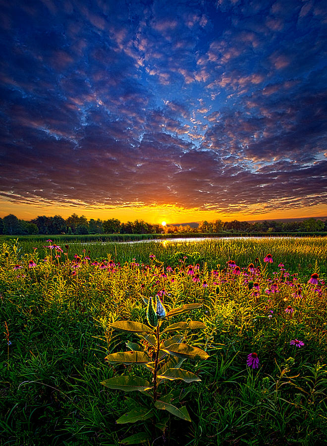 Life Is Worth Living Photograph by Phil Koch