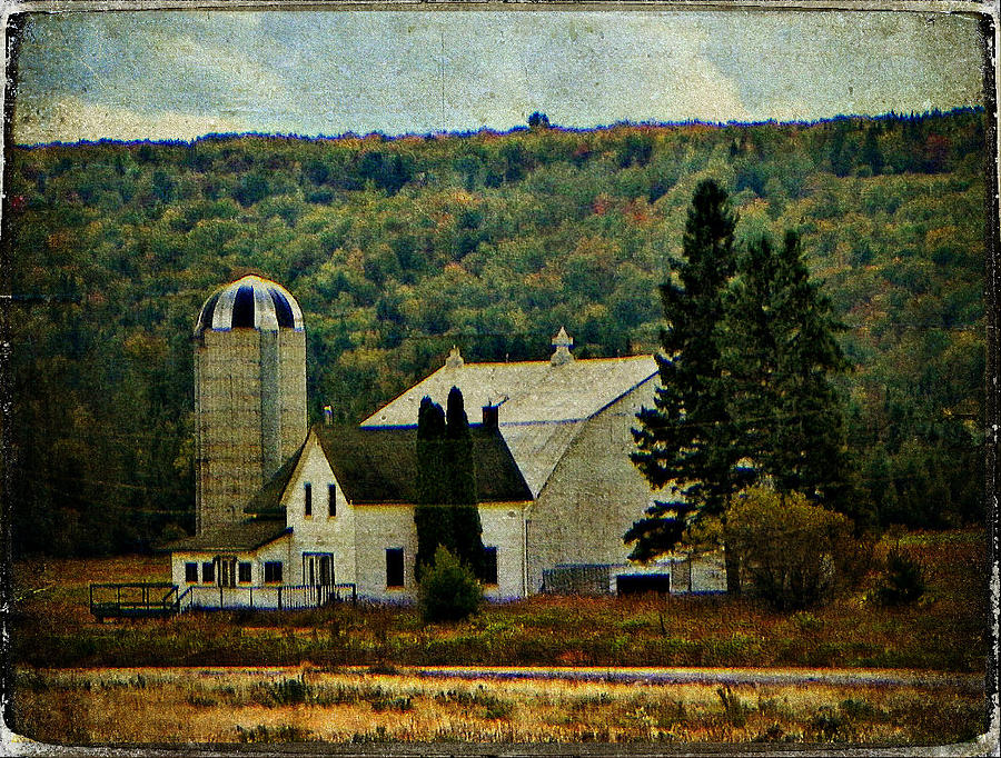 Life On A Farm Photograph by Dianne Lacourciere Life On A Farm Photograph by Dianne Lacourciere