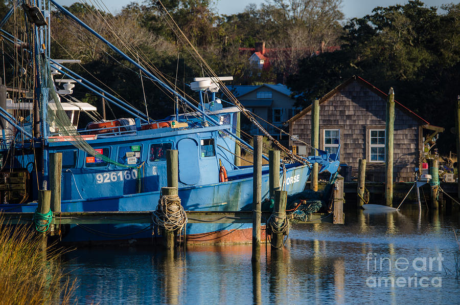 Life on Shem Creek Photograph by Dale Powell