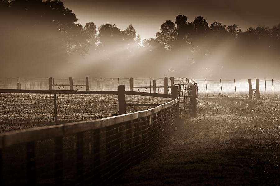 Life On The Farm Photograph by John Magyar Photography