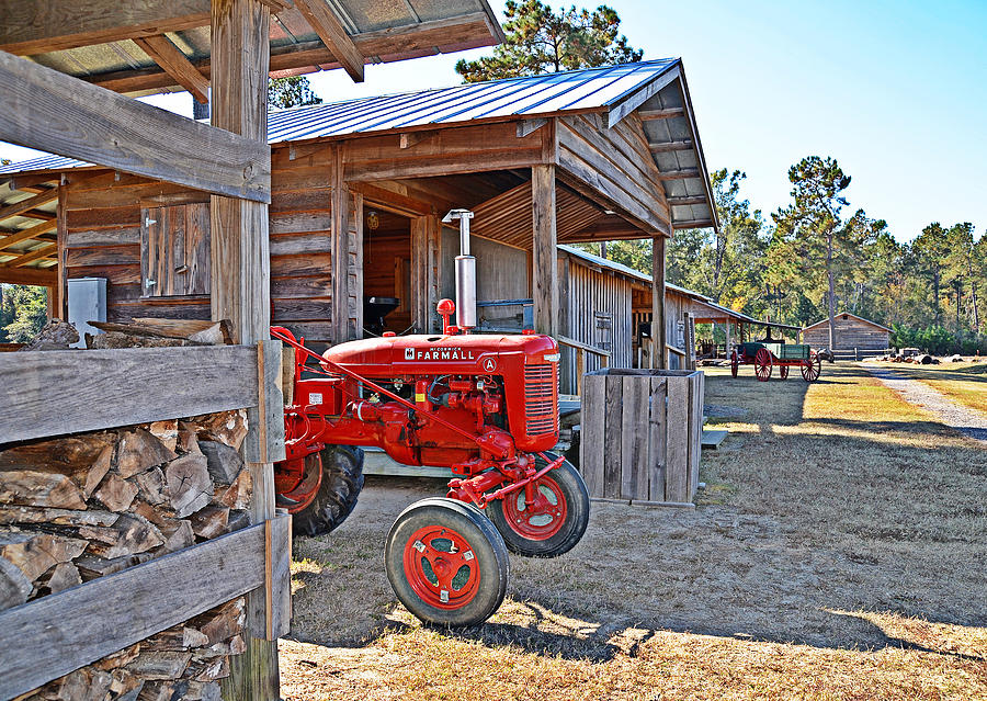 Life on the Farm Photograph by Linda Brown