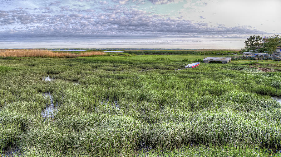 Life on the Marsh Photograph by Rick Mosher