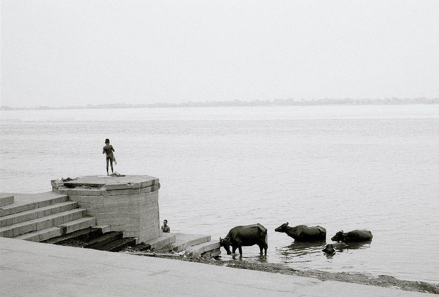Life On The River Ganges Photograph by Shaun Higson