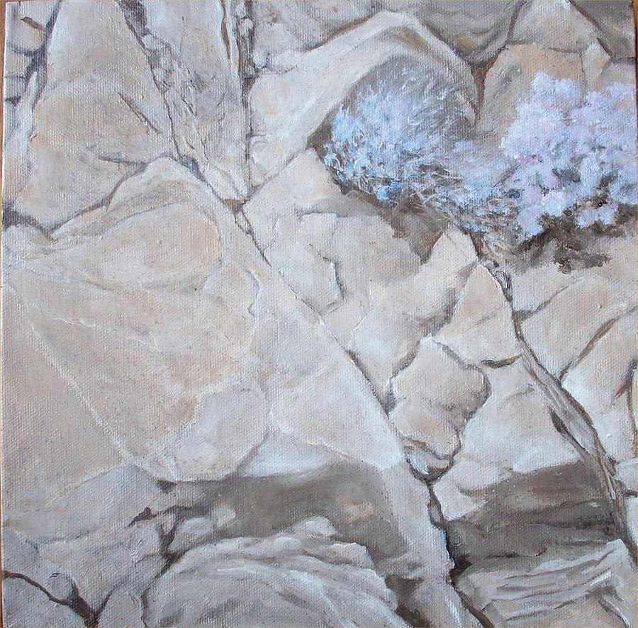 Rocky Mountain Painting - Life On the Rocks by Irene Corey Rocky Mountain Painting - Life On the Rocks by Irene Corey