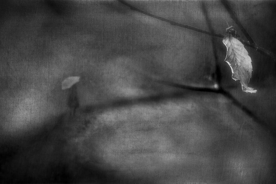 Mood Photograph - Life... by Teru Mood Photograph - Life... by Teru