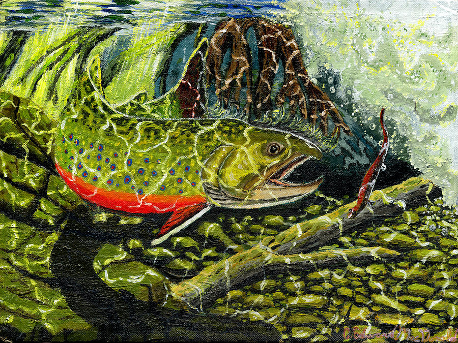 Nature Painting - Life under the brook by Carey MacDonald