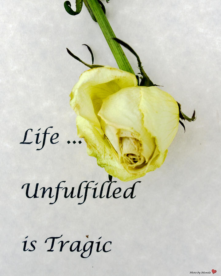 Life Unfulfilled is Tragic Photograph by Rhonda McDougall