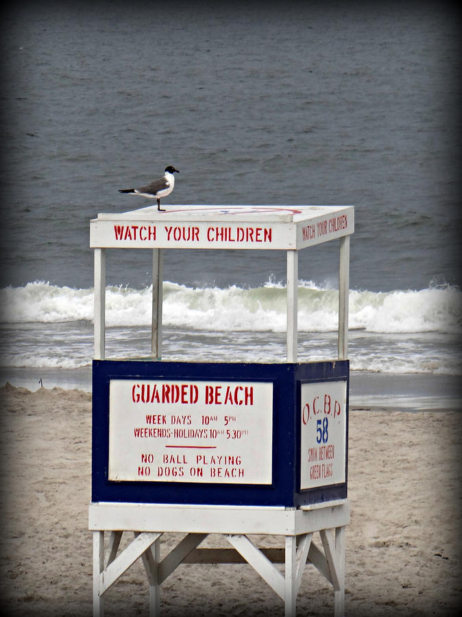Lifeguard Photograph by Dark Whimsy