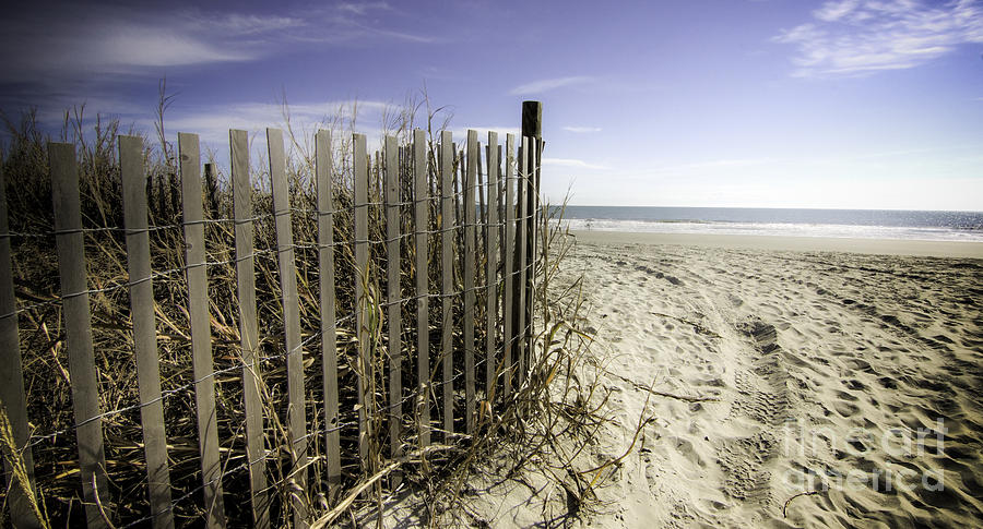 Life's a beach Photograph by Matthew Trudeau - Fine Art America