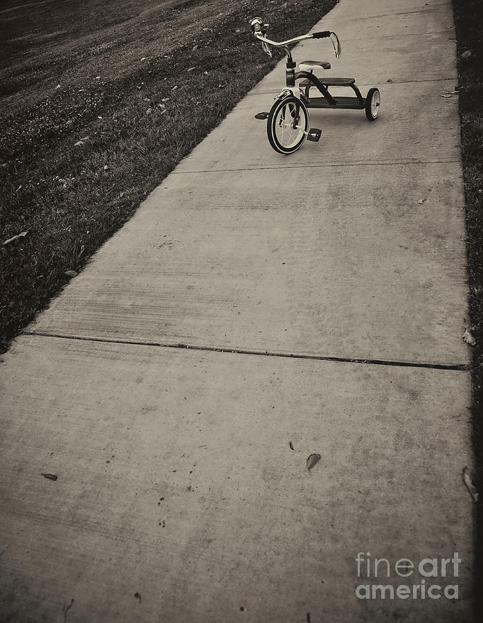 Lifes Adventures Pedal to the Pavement Photograph by David Millenheft