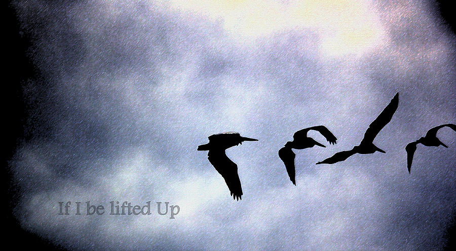 Lifted Up Photograph by Kathy Bassett