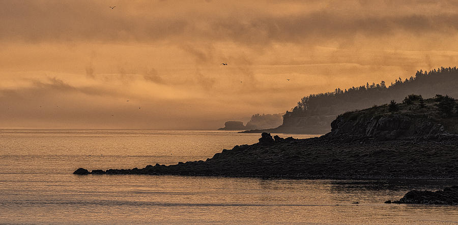 Lifting Fog at Sunrise on Campobello Coastline Photograph by Marty Saccone