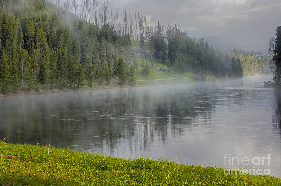 Lifting Fog on the Yellowstone River Photograph by Sandra Bronstein