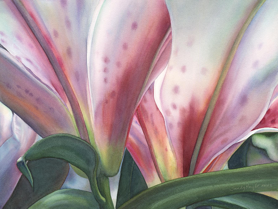 Lily Painting - Light Above by Sandy Haight