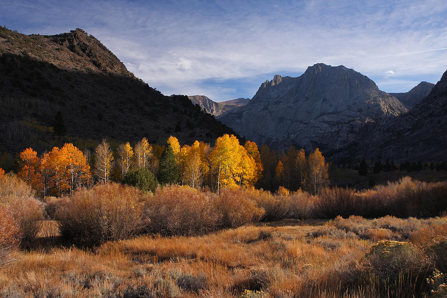 Light And Dark In An Autumnal Sierra Landscape Photograph by Steve Wolfe