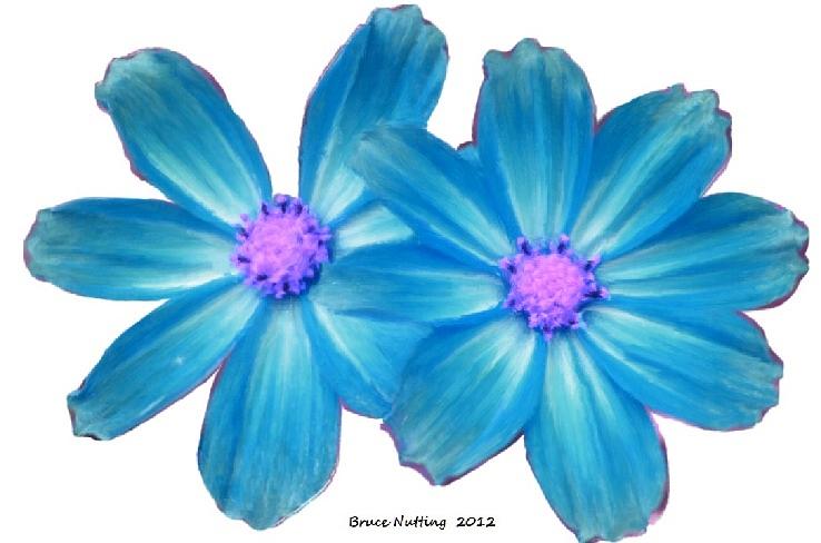 Light Blue Asters Painting by Bruce Nutting