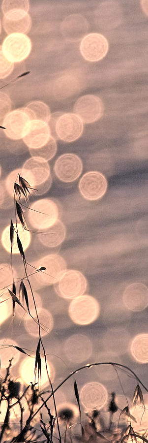 Light bubbles and grass 3 Photograph by Jocelyn Kahawai