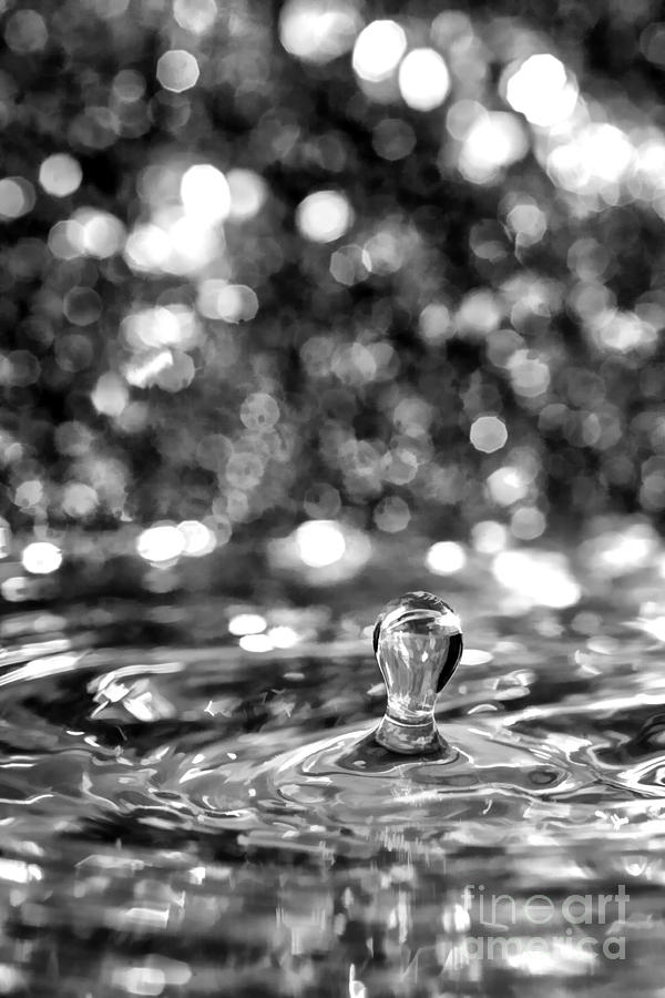 Light Bulb Water Drop Photograph by Linda Blair