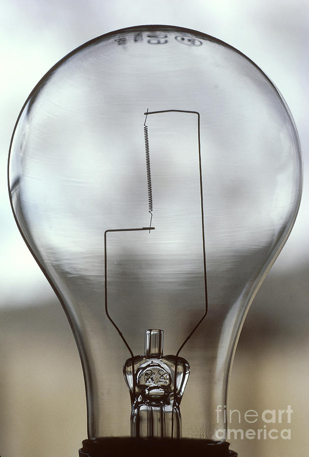 Light Bulb Photograph by William H. Mullins