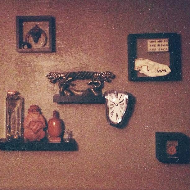 Skull Photograph - Light Decorating. #shelves #boxes by Christi Mcgarry