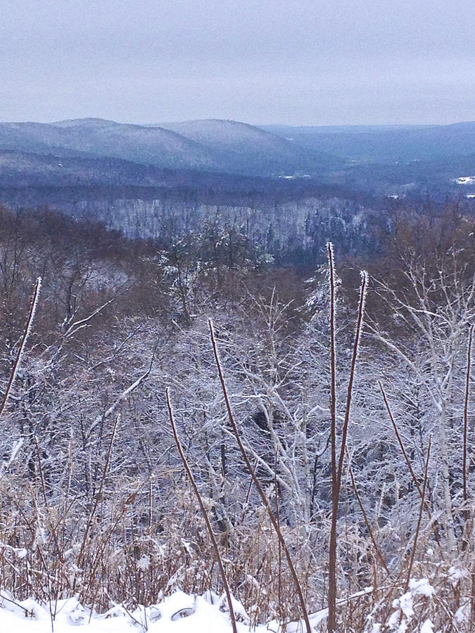Light Dusting in the Taconic Hills Photograph by Kristin Hatt