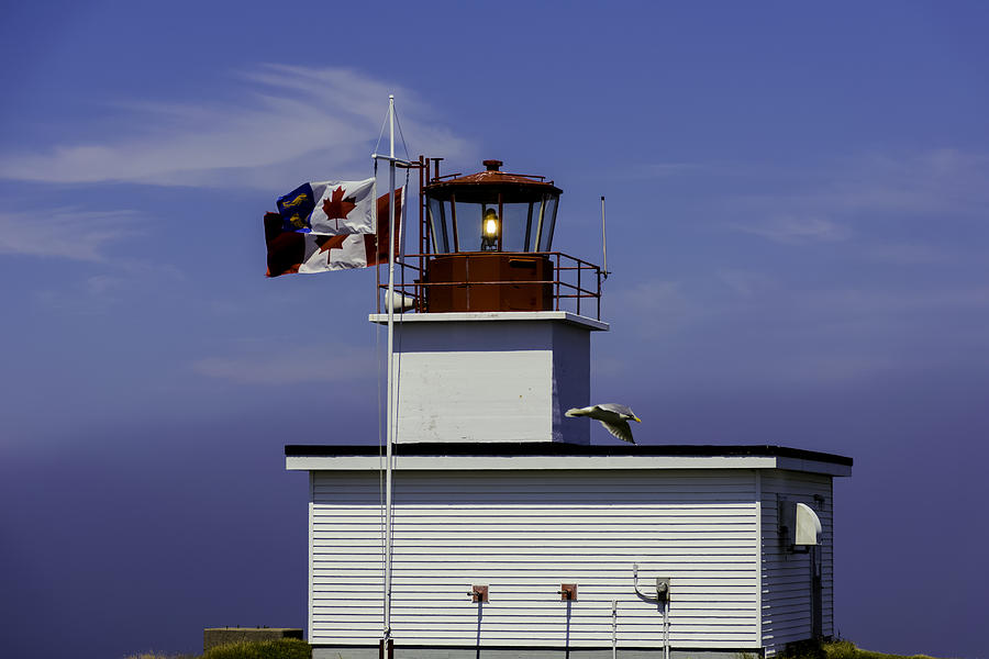 Light House Photograph by Will Burlingham