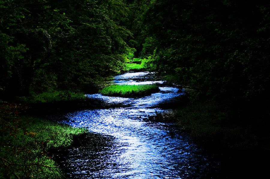 Light In The Creek Photograph by Randall Branham