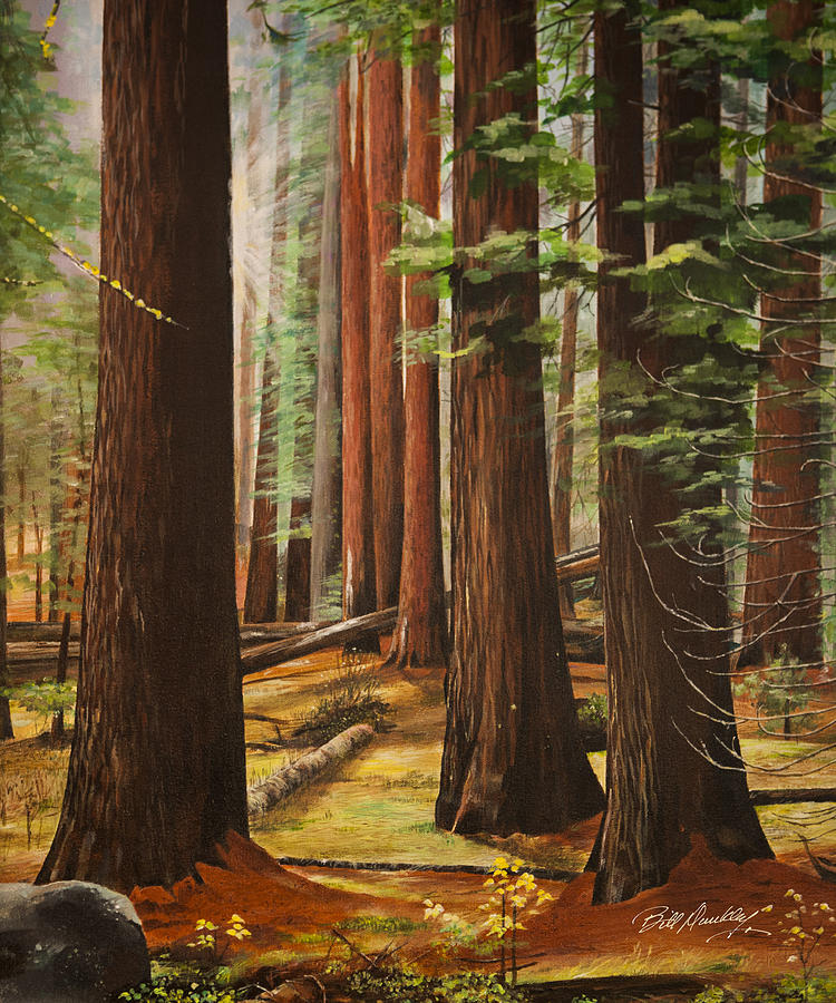 Light in the Forest Painting by Bill Dunkley