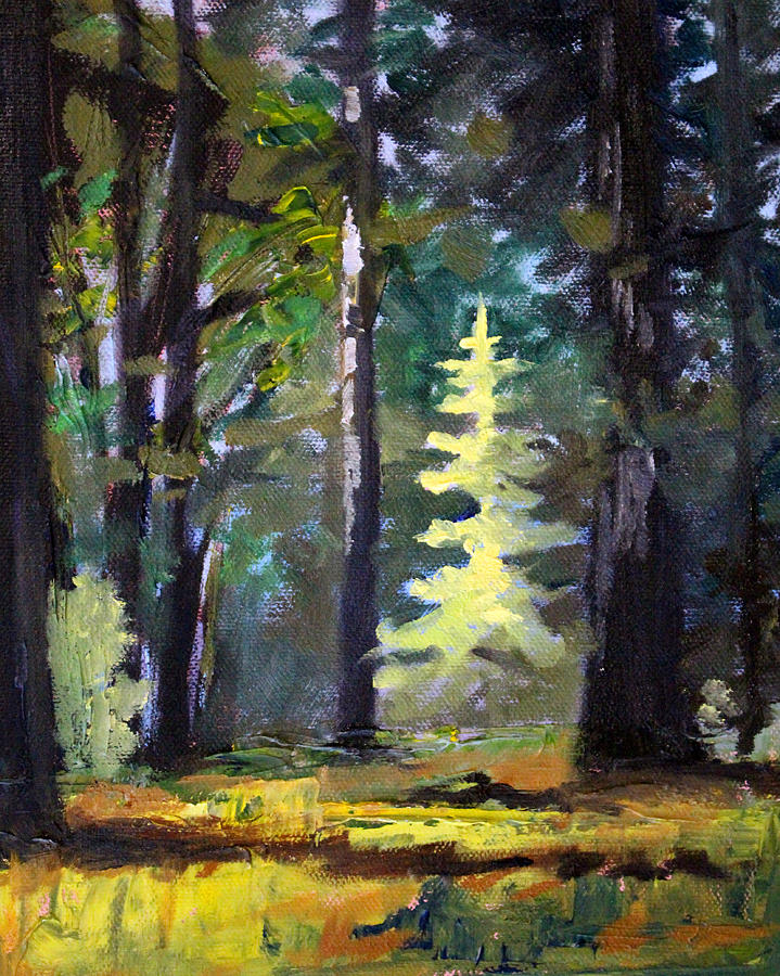 Light in the Forest Painting by Nancy Merkle