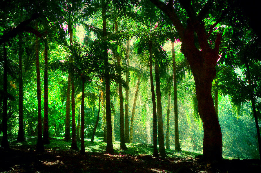 Light in the Jungles. Viridian Greens. Mauritius Photograph by Jenny Rainbow