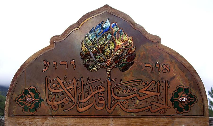 Light is Planted by Shahna Lax Light is Planted by Shahna Lax