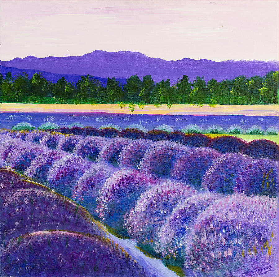 Lavender Painting - Light Lavender by Barbara Klimova