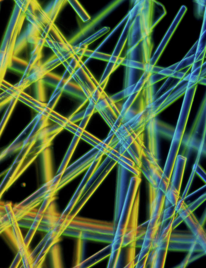 Light Micrograph Of Asbestos Fibres Photograph by Alfred Pasieka/science Photo Library