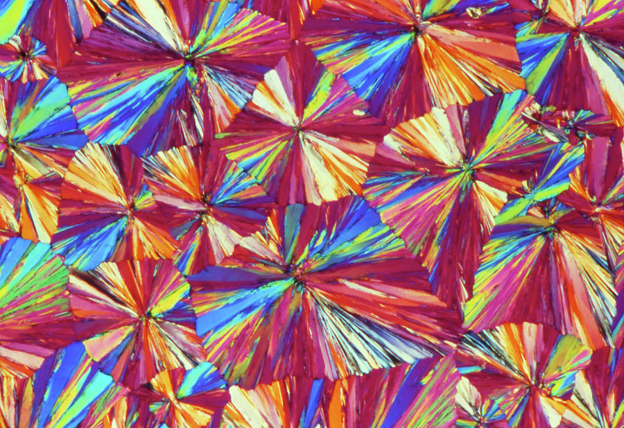 Light Micrograph Of Aspirin Crystals Photograph by Sinclair Stammers.