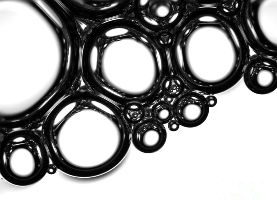 Light Micrograph Of Bubbles Photograph by Lauren Piedmont
