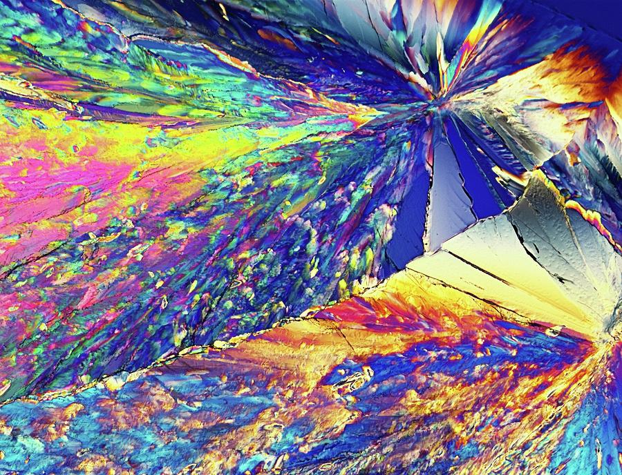 Light Micrograph Of Citric Acid Crystals Photograph by Alfred Pasieka