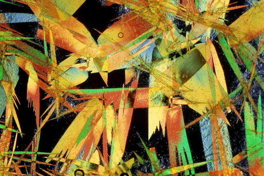 Light Micrograph Of Picric Acid Crystals Photograph by Power And Syred ...