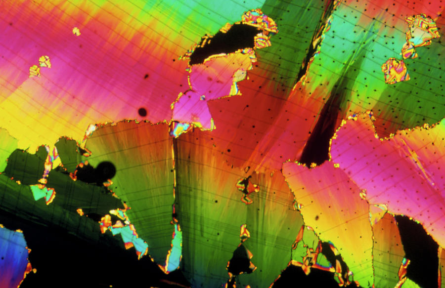 Light Micrograph Of Sulphur Crystals Photograph by Mike Mcnamee/science Photo Library.