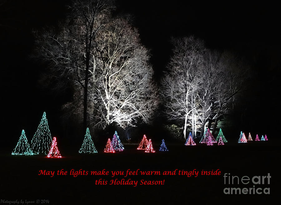 Light Of The Holidays Photograph