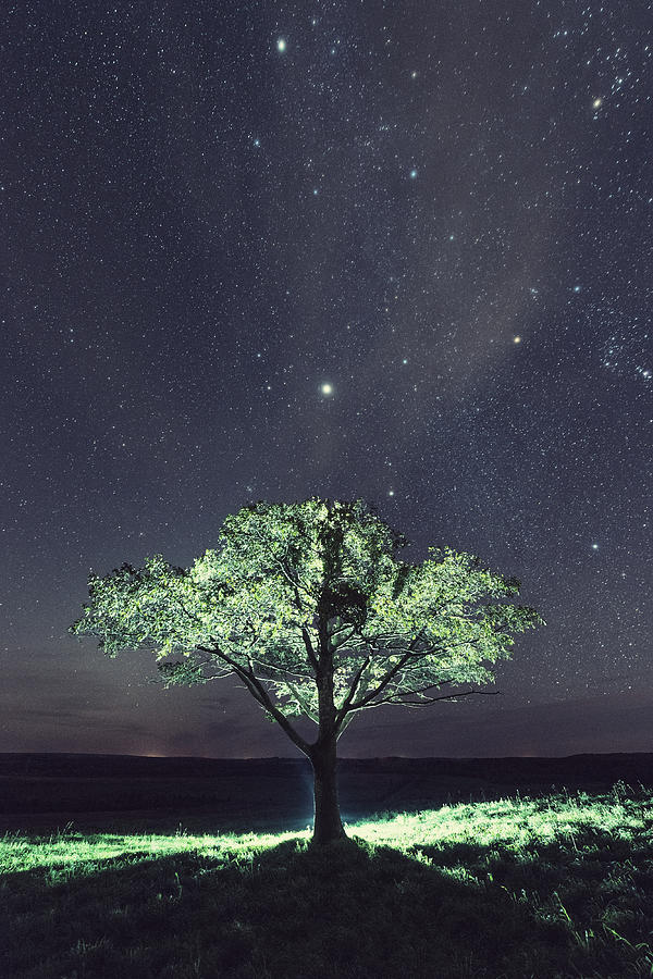 Light Of The Stars Photograph by Shaunl Fine Art America