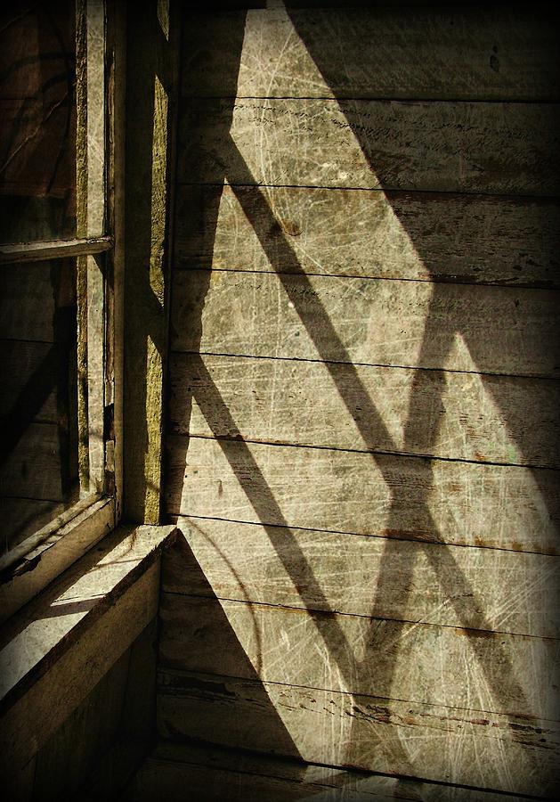 Light on the Old Shed Photograph by Anne McDonald