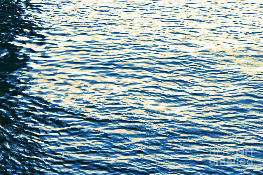 Light on Water Photograph by Megan Dirsa-DuBois
