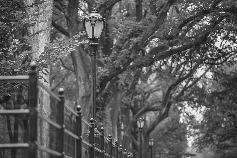 Light Post Central Park Photograph by John McGraw