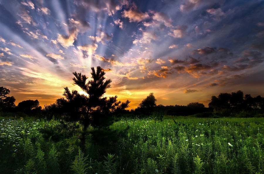 Light Rays Photograph by Kurt Warner Fine Art America