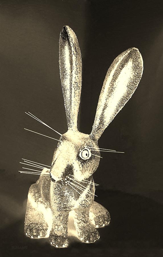 Light Sepia New Mexico Rabbit Photograph by Rob Hans